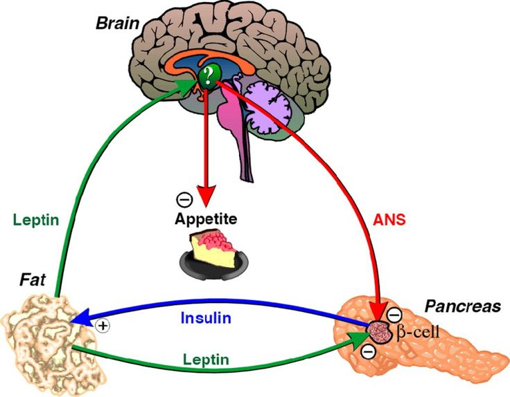 Leptin Direnci ve Beslenme - Op. Dr. Güven Görkem